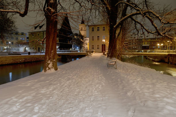 istock snow-covered evening park alley between two channels 1302426690
