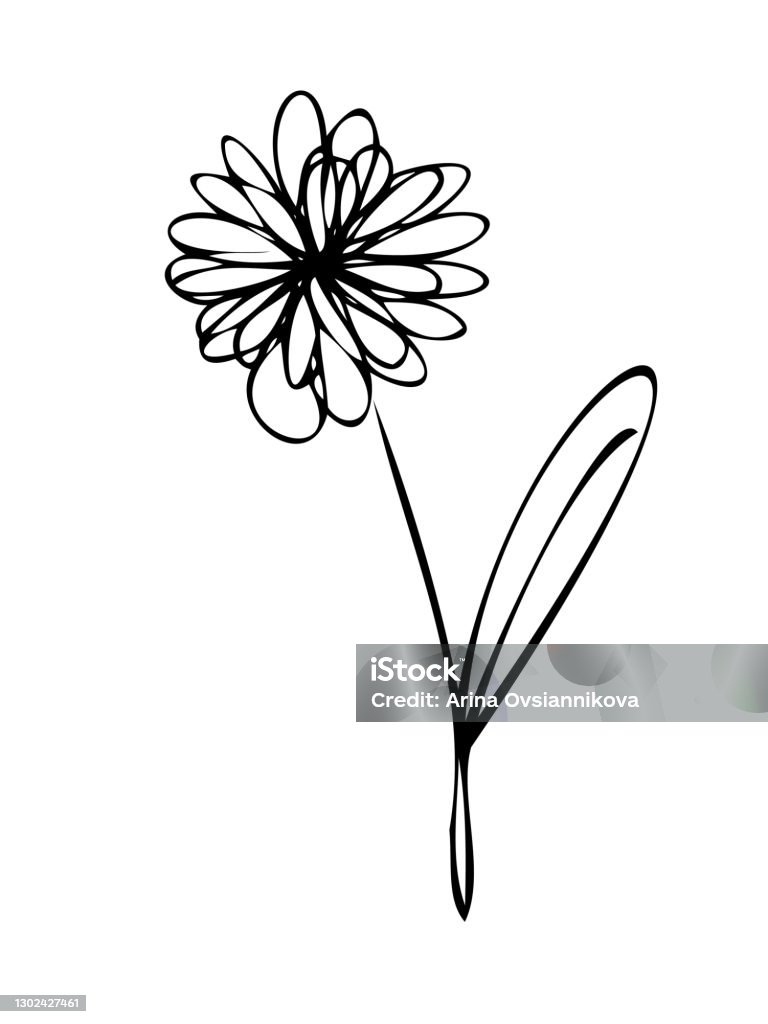 Ilustración de Flor De Jardín Como Margarita O Margarita Ilustración Vectorial Arte De Línea De Dibujos Animados Simple Flor Negra Minimalista Dibujada A Mano Sobre Un Fondo Blanco y más Vectores Libres Ilustración de Flor De Jardín Como Margarita O Margarita Ilustración Vectorial Arte De Línea De Dibujos Animados Simple Flor Negra Minimalista Dibujada A Mano Sobre Un Fondo Blanco y más Vectores Libres