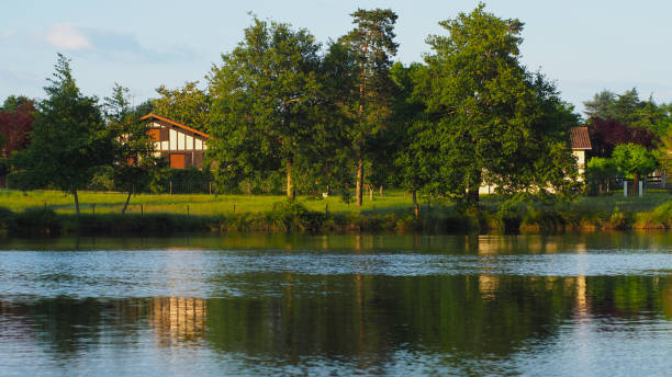 istock Autumn reflections at the edge of a pond 1302427752