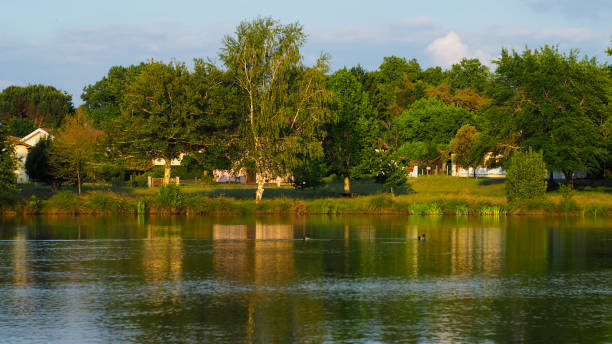 istock Autumn reflections at the edge of a pond 1302427754