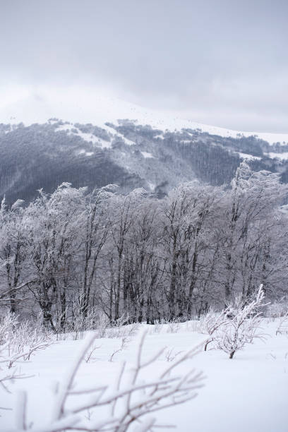 istock Beautiful winter landscape 1302430184