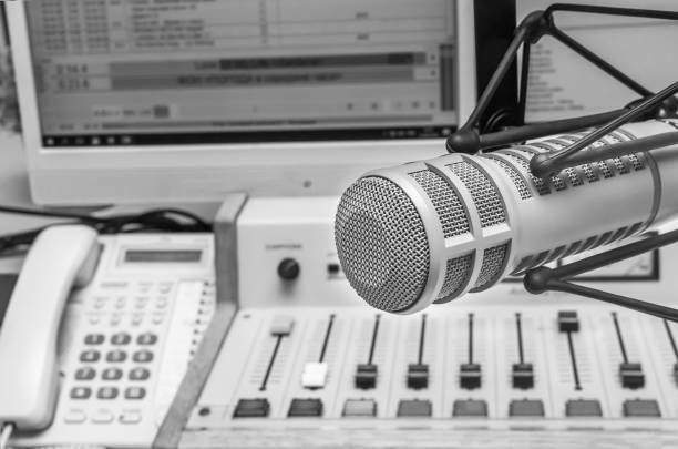 istock Professional microphone and sound mixer 1302430186