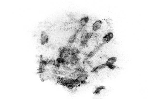 istock Black palm print on white background 1302434692