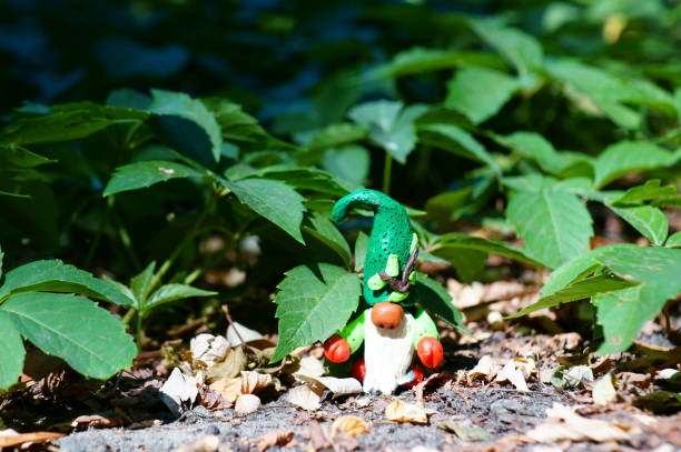 istock Figure of a dwarf in the forest. 1302435239