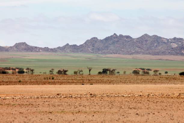istock Sossusvlei in the Namibian Desert 1302436013