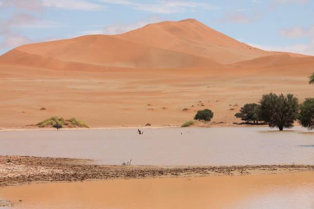 istock Sossusvlei in the Namibian Desert 1302436019