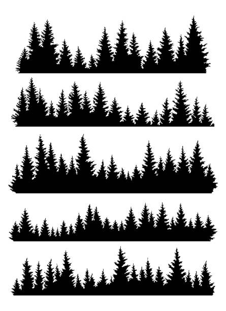 전나무 나무 실루엣 세트. 수선 가문비 나무 수평 배경 패턴, 검은 상록 숲 벡터 일러스트. 침엽수 숲의 아름다운 손으로 그린 파노라마 - tree stock illustrations