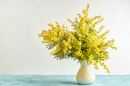 Bouquet, Mimosa, Flowers, Nature