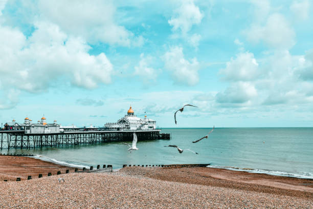 Famous Eastbourne Pier And Seagulls, UK Famous Eastbourne Pier And Seagulls, UK groyne stock pictures, royalty-free photos & images