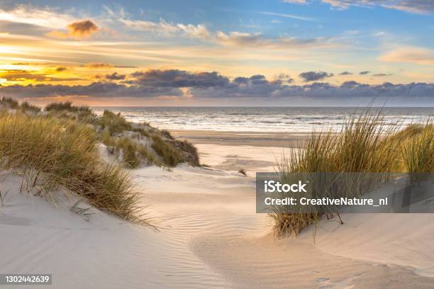 View From Dune Top Over North Sea Stock Photo - Download Image Now - Beach, Sand Dune, Landscape - Scenery