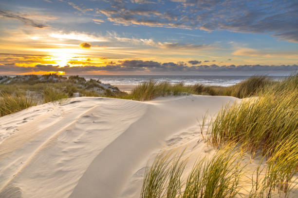 istock View from dune top over North Sea 1302442744