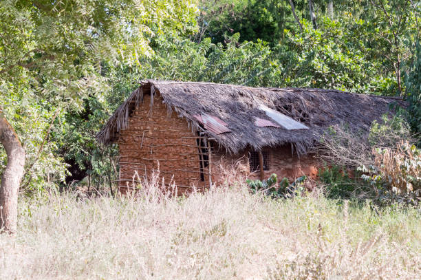 istock Zaramo style houses in the Watamu forest 1302444208