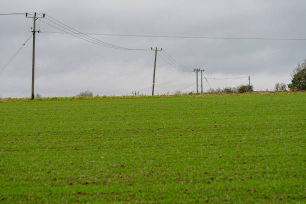 Farm fields and telephone poles in winter.