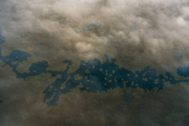 istock The largest raised bog in Belarus. Autumn landscape. 1302444457