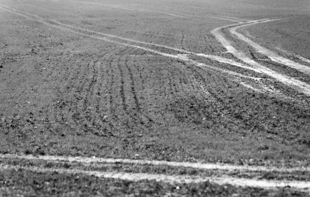 istock Winter agricultural crop 1302444485