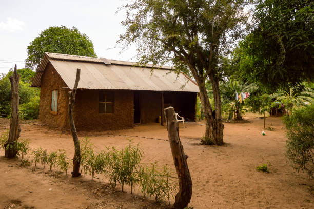 istock Zaramo style houses in the Watamu forest 1302444589