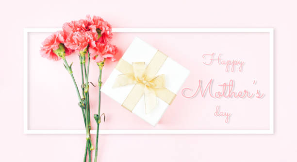 istock Three beautiful red carnations against a pink background. Photo caption happy mathers day 1302448684