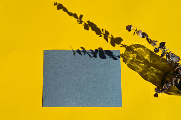 istock Creative mockup with paper card, glass and plant with long shadow. 1302448773