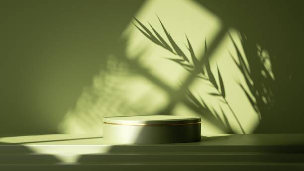 3d render, abstract green background. Empty stage with steps and cylinder podium, leaf shadows and bright sunlight going through the window. Minimal showcase scene for product presentation
