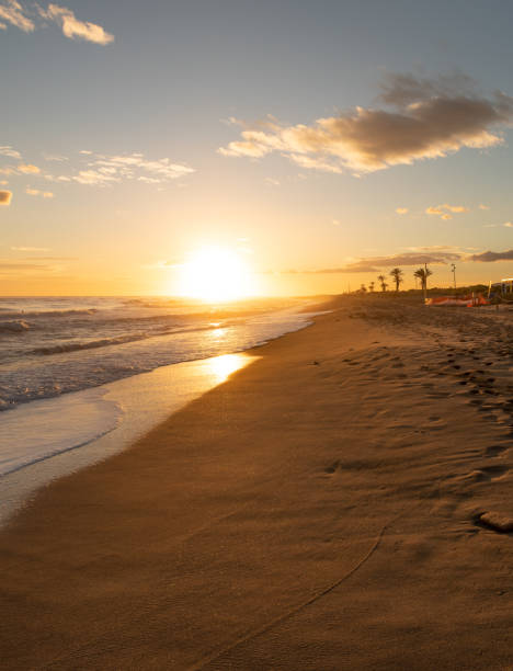 istock wave breaking on the beach forming white foam 1302449696