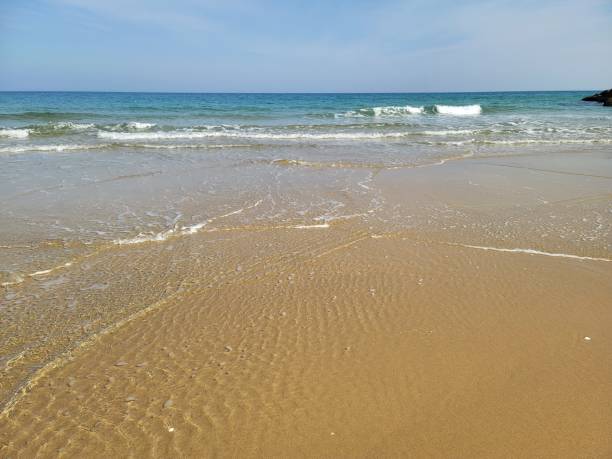 istock The wave nearby beach 1302450783