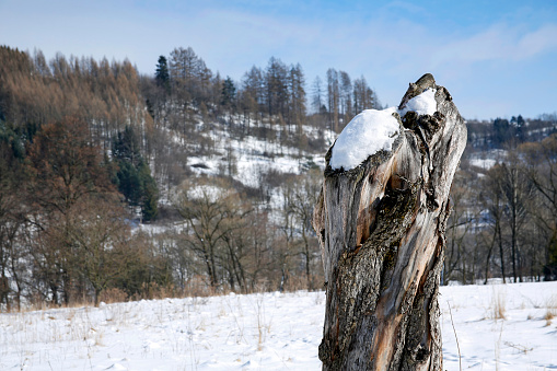 old tree trunk covered with snow in rural scenery