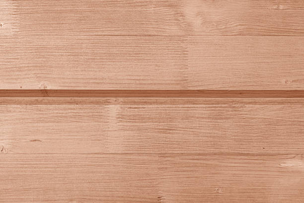 istock Wooden fence panels 1302453147