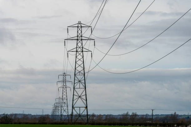 istock Farm fields and Electricity pylons in winter. 1302453235