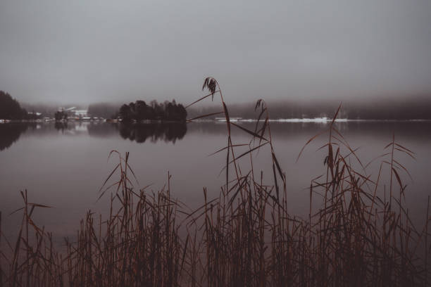 istock Eibsee Lake, Bavaria, Nature 1302453542