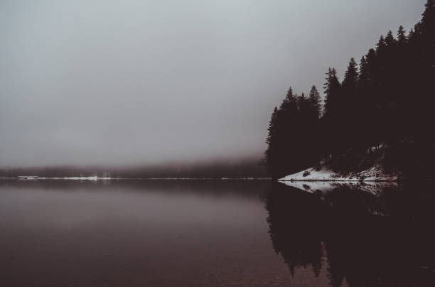 istock Eibsee Lake, Bavaria, Nature 1302453568