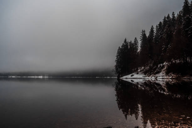 istock Eibsee Lake, Bavaria, Nature 1302453596