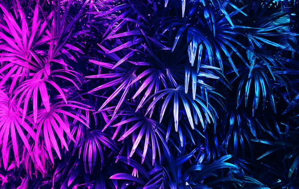 istock tropical leaf forest glow in the dark background. High contrast. 1302454804