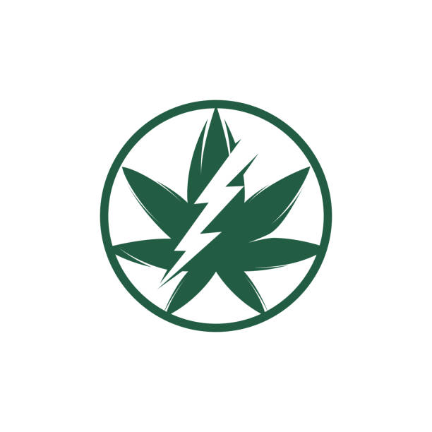 illustrazioni stock, clip art, cartoni animati e icone di tendenza di design del logo vettoriale del tuono di marijuana. - herbal medicine flash