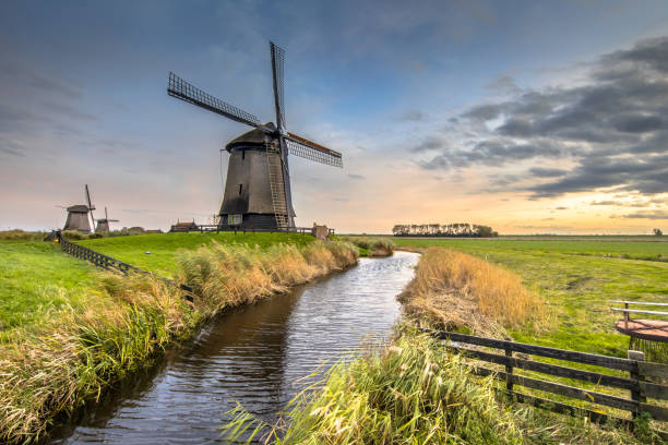 istock Three Traditional wooden windmills canal 1302461235