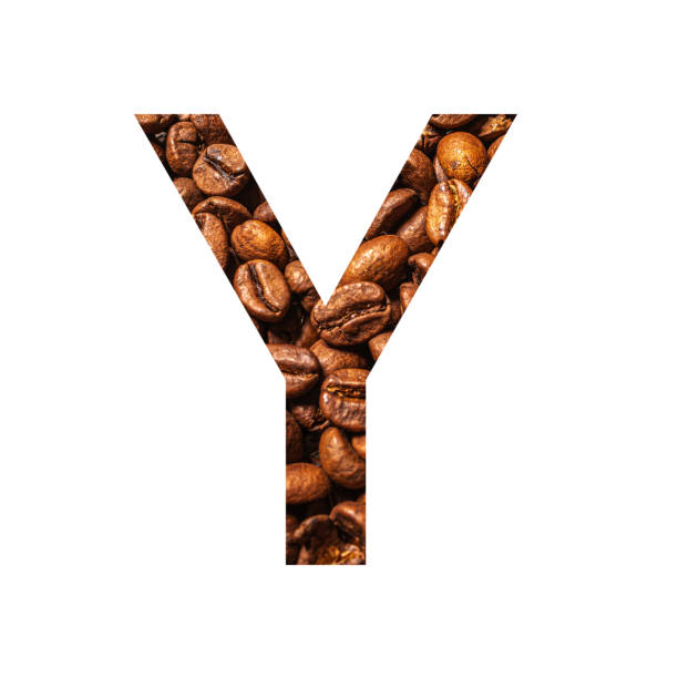 istock Letter Y made from coffee beans isolated on white background 1302464297