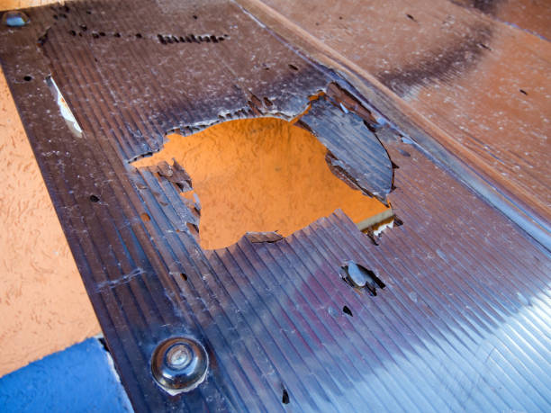 istock Destroyed cellular polycarbonate roof visor cover 1302465213