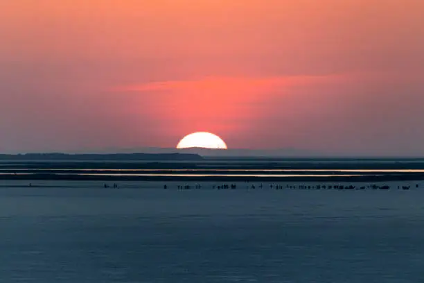 The Great Rann of Kutch is a salt marsh in the Thar Desert in the Kutch District of Gujarat, India. It is about 7500 km² in the area and is reputed to be one of the largest salt deserts in the world. This area has been inhabited by the Kutchi people.