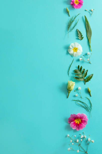istock Blue background with spring flowers, copy space , flat lay concept 1302468051