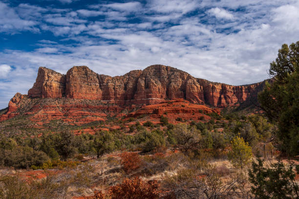 Rock formations and vegetation found on the hiking trails in Sedona, Arizona.