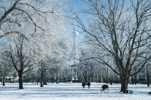 snowy park in central berlin with tv-tower in the background on clear sunny winter day