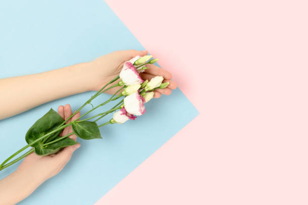 istock Female hands hold bouquet of eustoma flowers. 1302470546