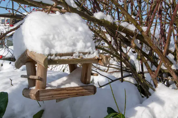 Photo of A wooden bird feeder covered in snow. This is where the birds are fed in winter.