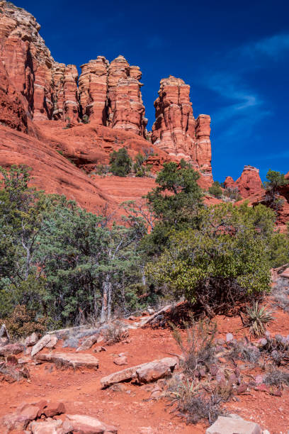 istock Landscape in Sedona, Arizona 1302473174