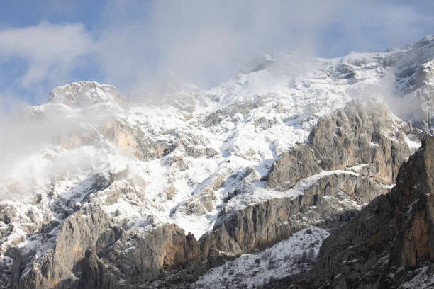 istock forest and mountain snowed in winter 1302473478