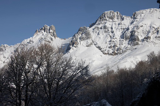 Forest, high mountain snowed in Picos de Europa National Park in north SPAIN