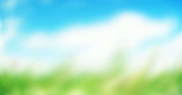 Abstract blurred beautiful green nature with blue sky wallpaper background