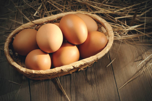 istock Fresh brown chicken eggs in a basket and in a nest from hay in a barn 1302477583