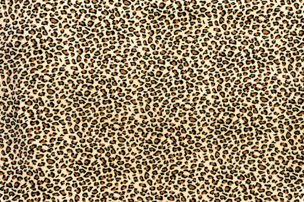 Authentic Leopard hide.