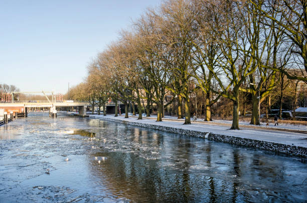 Trees along a canal in winter Delft, The Netherlands, February 13, 2021: row of large trees reflecting on the water and broken ice of Rijn-Schie canal on a sunny day in winter delft winter netherlands snow stock pictures, royalty-free photos & images