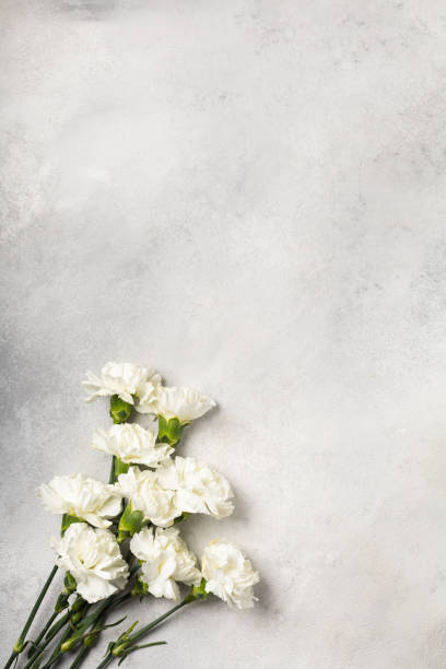 istock Bouquet of white carnations on a gray background 1302481681